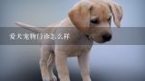 爱犬宠物门诊怎么样,三水哪家宠物医院比较靠谱？