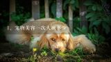 宠物美容一次大概多少,在上海学宠物美容学费一般是多少？
