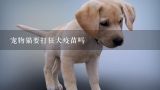 宠物猫要打狂犬疫苗吗,宠物猫打疫苗需要多少钱？