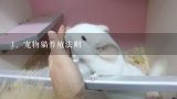 宠物猫养殖法则,为什么这么多人愿意养猫？