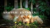 如何使用电推？宠物犬修剪毛发？宠物电推剪用后怎么清洗？