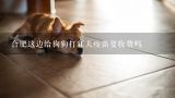 合肥这边给狗狗打狂犬疫苗要收费吗