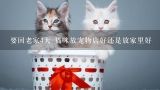 要回老家4天 猫咪放宠物店好还是放家里好,猫咪放宠物店真的合适吗