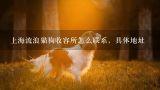 上海流浪猫狗收容所怎么联系，具体地址,上海孙亚珍宠物救助中心地址