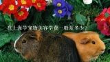 在上海学宠物美容学费一般是多少？最好的宠物美容学校是哪家