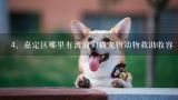 上海哪里有好的狗狗领养的地方,上海流浪猫狗收容所怎么联系，具体地址