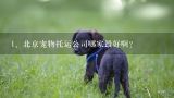 北京宠物托运公司哪家最好啊？宠物托运哪个公司好？