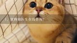 宠物猫医生在线咨询？,狗狗医生在线咨询