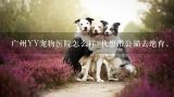 广州YY宠物医院怎么样?我想带公猫去绝育，很多朋友说自己猫带去绝育做手术死掉了，太可怕了,想知道: 广州市 yy宠物医院 在哪？