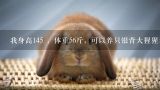 我身高145 ，体重56斤，可以养只银背大猩猩当宠物吗？银背大猩猩吃什么？