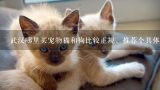 武汉哪里买宠物猫比较好?武汉哪里买宠物猫和狗比较正规，推荐个具体地点...