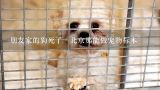 请问北京哪里有帮人制作动物标本的地方?朋友家的狗死了 北京那能做宠物标本