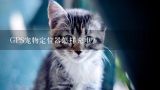 怎么给宠物狗(猫)GPS定位？宠物gps追踪器属于什么类目？