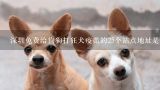 深圳免费给狗狗打狂犬疫苗的25个站点地址是哪里？宠物医院打狂犬疫苗多少钱？