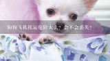 狗狗飞机托运危险大么？会不会丢失？飞机可以托运猫吗