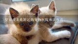 望京或北苑附近的宠物医院和美容店,北京通州北苑附近哪有宠物美容？