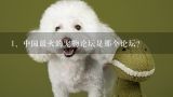 中国最火的宠物论坛是那个论坛？比较出名的宠物论坛或网站有哪些？