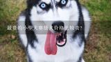 小型的宠物狗哪种最贵,有没有比马尔济斯犬还贵的小型宠物犬？