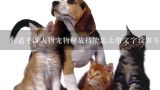 关于宠物店贵宾犬拉毛的问题？我是个宠物美容师学徒，给狗洗完澡后拉毛总是拉不好，有时候还会把狗的皮拉破，怎么办，我有点不想干了？