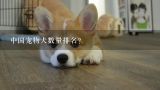 中国宠物犬数量排名？前十位宠物狗排名