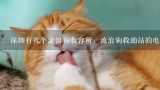 深圳流浪猫收容所会収养残疾的猫吗,有个伤残流浪猫哪里有收容所？