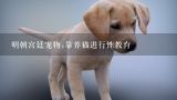 明朝宫廷宠物:靠养猫进行性教育,曾经京巴为什么会是宫廷内流行的宠物？