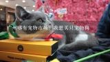 广州哪有宠物市场？我想买只宠物狗,深圳最大的宠物市场在哪里？