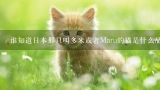 谁知道日本那只叫多米或者Maru的猫是什么品种吖？大,卡拉猫在日本卖的贵吗