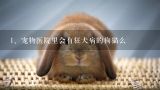 宠物医院里会有狂犬病的狗猫么,宠物医院可以检测狗狗有狂犬病么？一次多少钱？