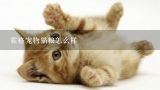 霍格宠物猫粮怎么样,宠物店猫粮价格虚高怎么办