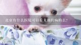 北京有什么医院可以看龙猫的病的么？北京哪家宠物医院能治仓鼠？
