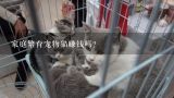 家庭繁育宠物猫赚钱吗？家庭繁育宠物猫赚钱吗