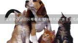 北京市石景山区哪有卖宠物幼犬的?博美金毛或者泰迪。想买个家养。,石景山哪有卖宠物尿不湿的，可以按片卖的