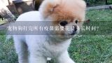 宠物狗打完所有疫苗需要花费多长时间？被宠物狗咬了要打狂犬疫苗吗