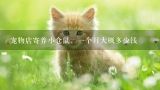宠物店寄养小仓鼠，一个月大概多少钱,在深圳要开家宠物店需投资多少钱？