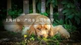 上海科协三产房车公司在哪里,国内有哪些优质的宠物展会，例如CPF国际宠博会一样