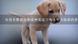 有没有推荐品牌或种类适合为小型犬提供的骨头替代品？