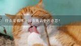 什么是猫咪一词在英语中的意思？