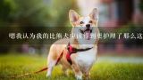 嗯我认为我的比熊犬应该得到更护理了那么这个美容店提供的美容按摩服务的价格又是怎样的呢?