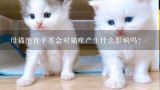 母猫绝育手术会对猫咪产生什么影响吗?