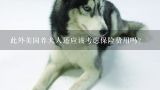 此外美国养犬人还应该考虑保险费用吗?