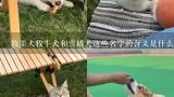 牧羊犬牧牛犬和雪橇犬这些名字的含义是什么?