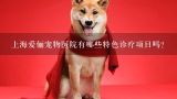 上海爱俪宠物医院有哪些特色诊疗项目吗?