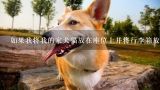 如果我将我的家犬猫放在座位上并将行李箱放入行李舱内是否还需要提供额外的信息吗?