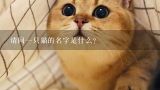 请问一只猫的名字是什么?