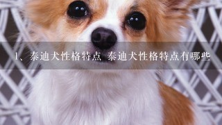 泰迪犬性格特点 泰迪犬性格特点有哪些