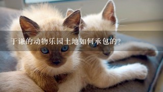 于谦的动物乐园土地如何承包的？