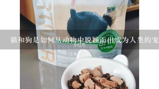 猫和狗是如何从动物中脱颖而出成为人类的宠物的？