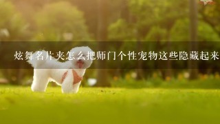 炫舞名片夹怎么把师门个性宠物这些隐藏起来