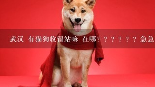 武汉 有猫狗收留站嘛 在哪？？？？？？急急急